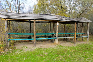 Sonbahar ormanında piknik alanı