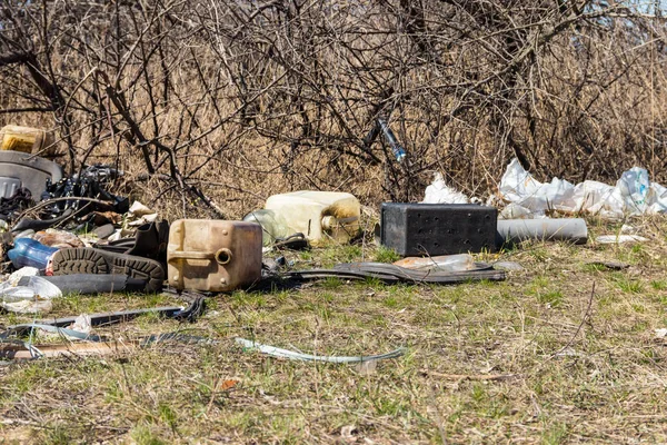 Vuilnisbelt in bos onder bomen — Stockfoto