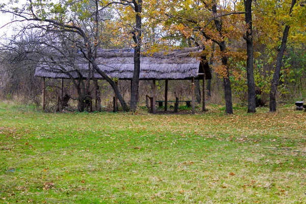 Місце для пікніка в осінньому лісі — стокове фото