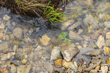 Su dokusu arka planı. Nehir yüzeyi