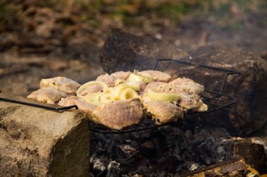 Baharatlı çiğ domuz eti. Şiş kebap hazırlığı. Kömürde marine edilmiş et.