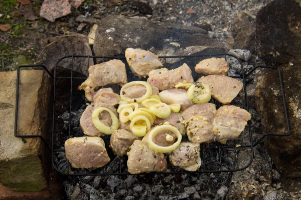 Spiced raw pork meat on grill outdoor. Preparation of shish kebab. Marinated meat on charcoal — Stock Photo, Image