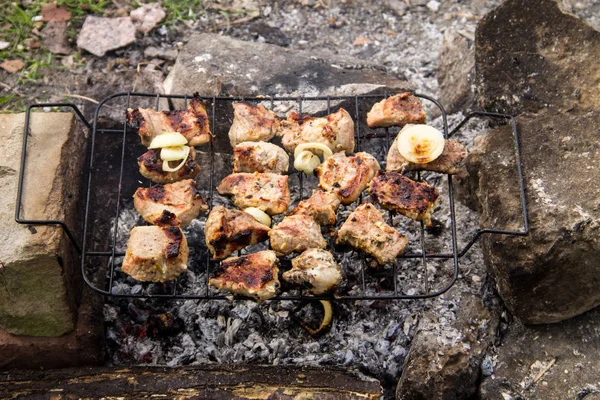 Assar carne de porco na grelha. Carne nas brasas, churrasco de perto — Fotografia de Stock