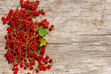 Rustik ahşap arka plan üzerinde kırmızı frenk üzümü meyveleri. Üst görünüm, kopyalama alanı