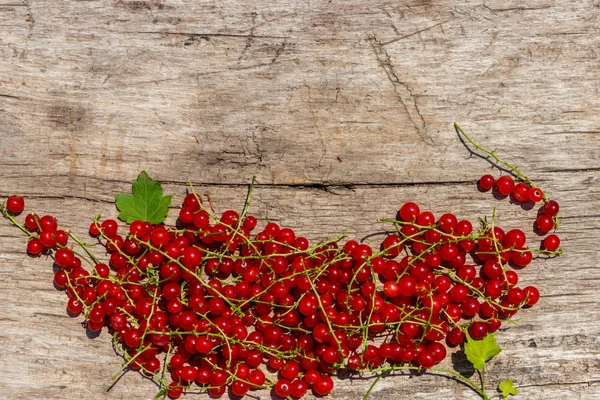 Red currant berries on rustic wooden background. Top view, copy space — Stock Photo, Image