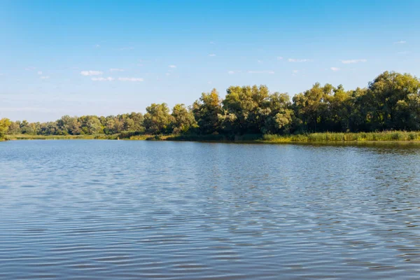 Літній пейзаж з красивою річкою, зеленими деревами і блакитним небом — стокове фото