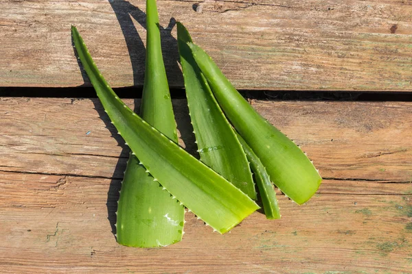 Zelené listy z aloe vera rostlina na rustikální dřevěné pozadí — Stock fotografie