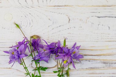 Beyaz ahşap arka planda mavi sütunlu çiçekler