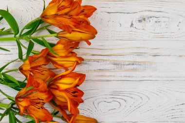 Beyaz ahşap arka planda turuncu zambaklar. Üst görünüm, alanı kopyala