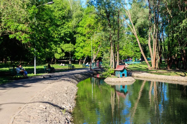 Veduta del piccolo fiume nel parco Sarzhin Yar, Kharkov — Foto Stock