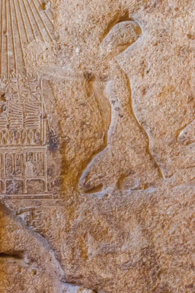 Ancient egyptian paintings and hieroglyphs carved on the stone wall