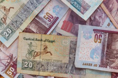 Farklı Mısır banknotlarının arkaplanı. Mısır para birimi