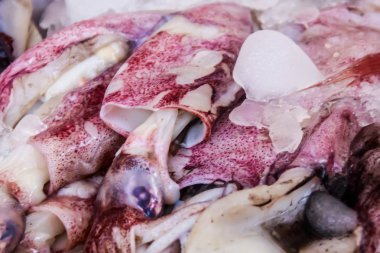 Balık pazarında çiğ taze mürekkep balıkları satılıyor.