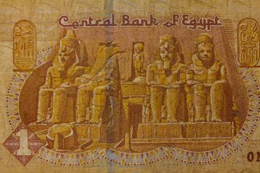 Bir Mısır sterlininin makro çekimi 