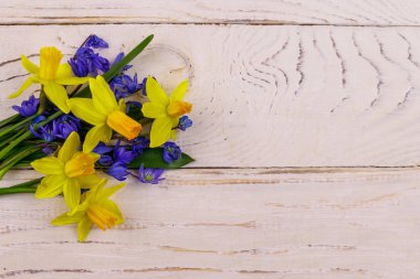 Beyaz ahşap arka planda sarı nergis buketi ve mavi scilla çiçekleri. Paskalya, Sevgililer Günü, Kadınlar Günü ve Anneler Günü için tebrik kartı. Üst görünüm, alanı kopyala