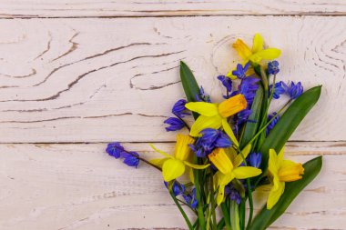 Beyaz ahşap arka planda sarı nergis buketi ve mavi scilla çiçekleri. Paskalya, Sevgililer Günü, Kadınlar Günü ve Anneler Günü için tebrik kartı. Üst görünüm, alanı kopyala