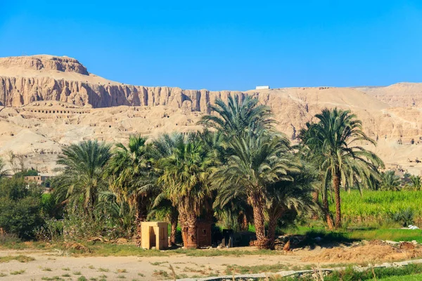 Bancos fértiles del Nilo. Valle del río Nilo. Palmeras y campos a orillas del río Nilo en Egipto — Foto de Stock
