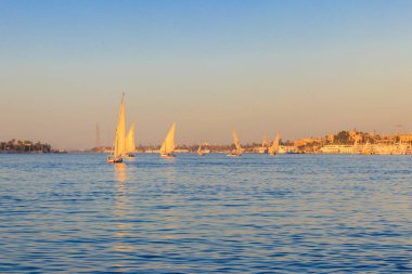 Felucca tekneleri Lüksör, Mısır 'da Nil nehrinde yelken açıyor.