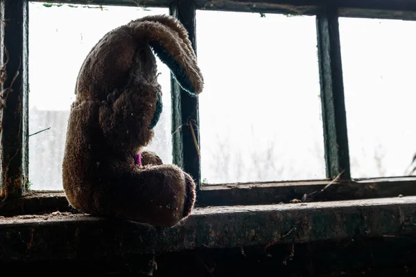 Viejo conejo de peluche sucio en un alféizar de ventana en casa abandonada — Foto de Stock