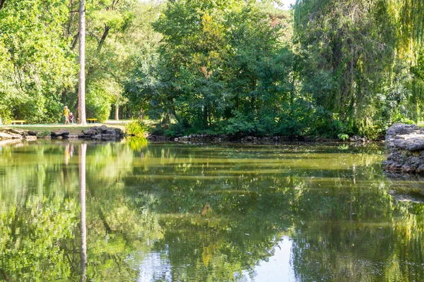 Kalm meer in groen park op de zomer — Stockfoto