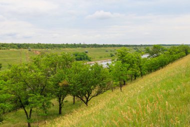 Yaz mevsiminde sulama kanalını izle