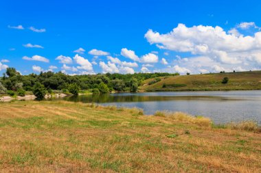 Güzel gölü olan yaz manzarası, yeşil çayırlar, tepeler, ağaçlar ve mavi gökyüzü.