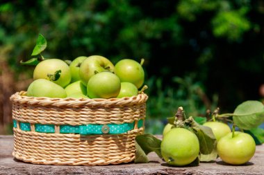Dışarıdaki ahşap masada sepetteki taze olgun elmalar. Hasat konsepti