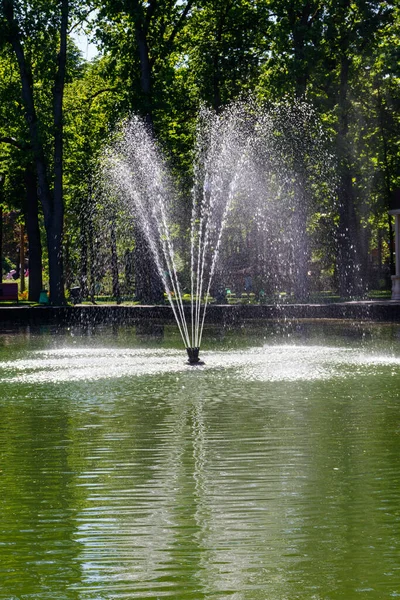 乌克兰哈尔科夫Gorky公园有喷泉的湖 — 图库照片