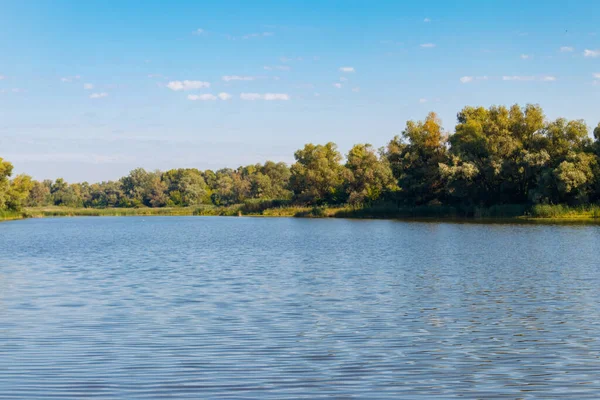 Літній Пейзаж Красивою Річкою Зеленими Деревами Блакитним Небом — стокове фото