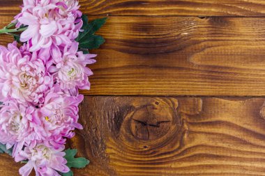 Ahşap arka planda güzel kasımpatılar. Üst görünüm, alanı kopyala