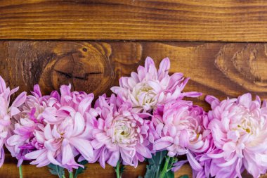 Ahşap arka planda güzel kasımpatılar. Üst görünüm, alanı kopyala