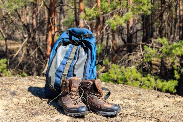 Tourist Backpack Hiking Boots Glade Pine Forest Hike Concept — Stock Photo, Image