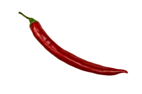 Red Hot Chili Pepper Isolated White Background — Stock Photo, Image