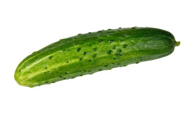 Beyaz arkaplanda taze yeşil salatalık izole edilmiş.