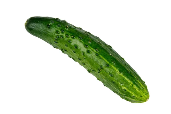 Verse Groene Komkommer Geïsoleerd Witte Achtergrond — Stockfoto