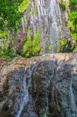 Adjara, Georgia 'daki Kafkasya dağlarında güzel bir şelale.