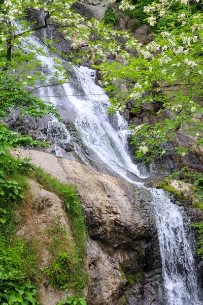ジョージア州アダーラのサルピ町近くのセント アンドリューの滝 — ストック写真
