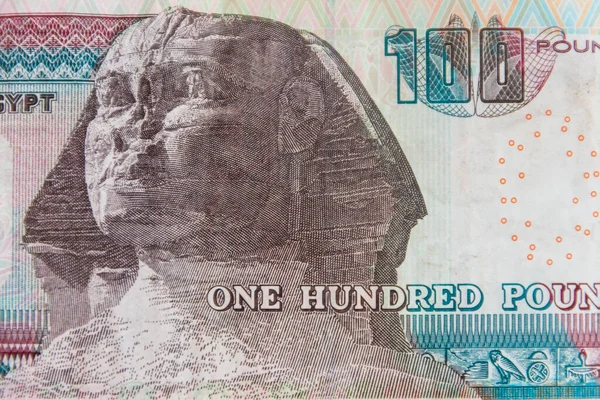 Makro Záběr Sto Egyptských Liber Bankovky — Stock fotografie