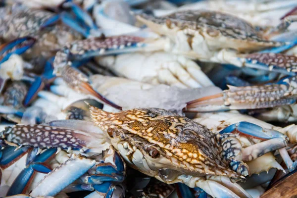 Raw fresh blue crabs for sale in fish market