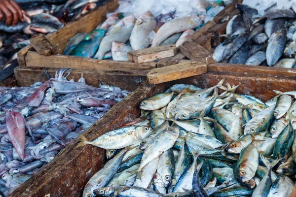 Frische Rohe Meeresfrüchte Auf Dem Fischmarkt — Stockfoto