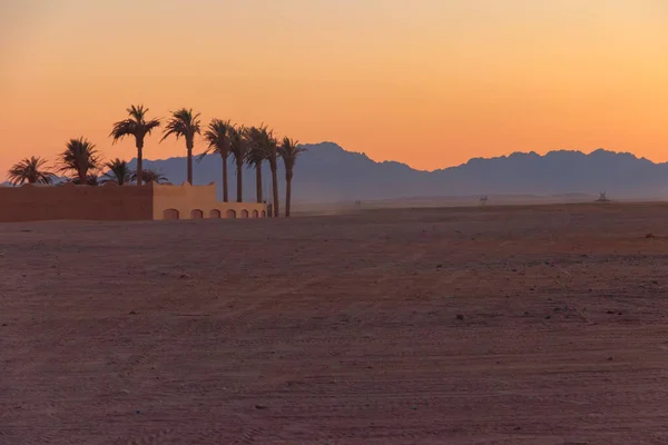 Kilátás Arab Sivatag Egyiptomban Naplementekor — Stock Fotó
