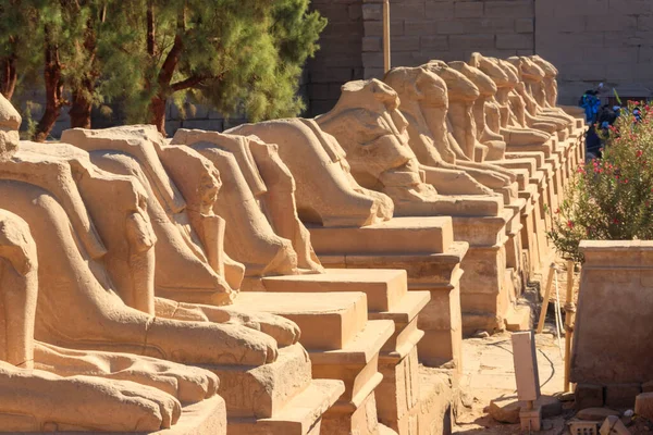 Beco Esfinges Complexo Templo Karnak Luxor Egito — Fotografia de Stock