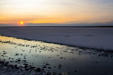 Tuzlu Siwash mikroalg tarafından antioksidan özellikleri için ünlü renkli göl su beta-karoten tarafından günbatımında zenginleştirici, pembe