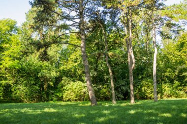 Ukrayna dünya çapında ünlü Askania-Nova dendroloji bahçeye rezerv, dünya Network, Biyosfer rezervleri, Unesco üyesi