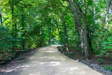 Yazın yeşil parktaki patika
