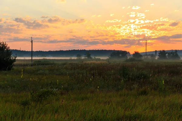 Beau Lever Soleil Sur Une Prairie Brumeuse Verte — Photo