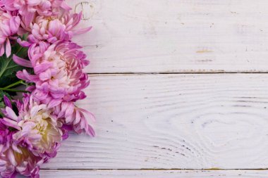 Beyaz ahşap arka planda güzel kasımpatılar. Üst görünüm, alanı kopyala