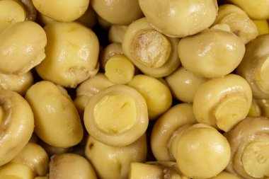 Marine mantar gıda arka plan. Salamura champignons yakın çekim