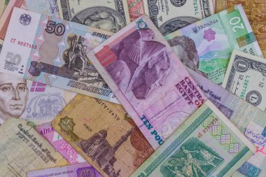 ABD dolarları, Rus rublesi, Beyaz Rusya rublesi, Mısır sterlini ve Ukrayna hrivniası