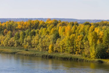Nehir kenarındaki renkli sonbahar ağaçları. Sonbahar manzarası